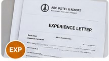 Illustrative Experience Letters document preview